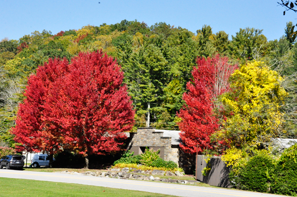 the best fall colors of the day